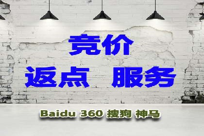 SEM竞价托管代运营成功案例解析